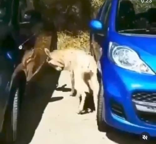 مطلب نمونه شماره2